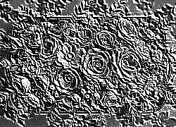 Skamielina