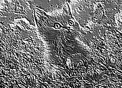 Skamielina