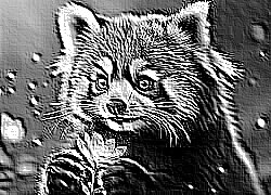 Skamielina