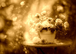 Sepia