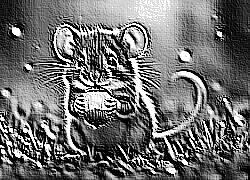 Skamielina