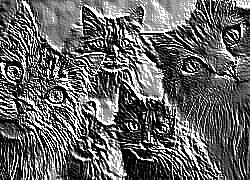 Skamielina