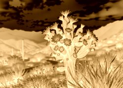 Sepia + Negatyw