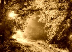 Sepia