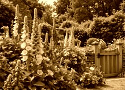 Sepia