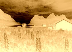 Sepia + Negatyw