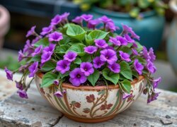 Oryginalny obrazek