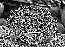 Skamielina
