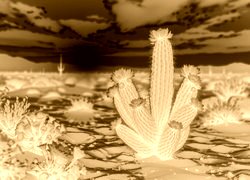 Sepia + Negatyw