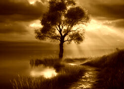 Sepia