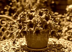 Sepia
