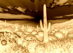 Sepia + Negatyw