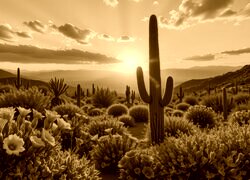Sepia