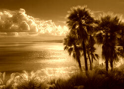Sepia