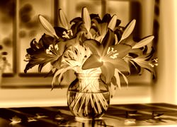 Sepia + Negatyw