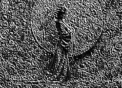 Skamielina