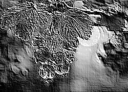 Skamielina