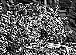 Skamielina