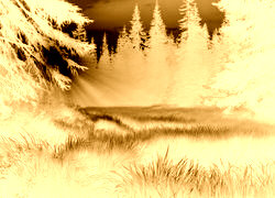 Sepia + Negatyw