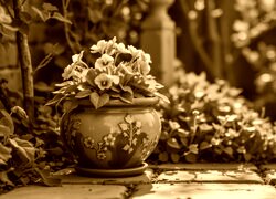 Sepia