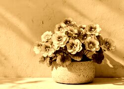 Sepia