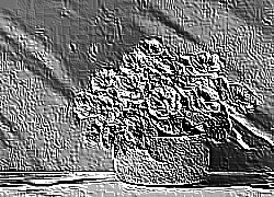 Skamielina