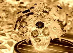 Sepia + Negatyw