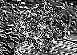 Skamielina