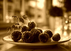 Sepia