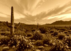 Sepia