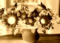 Sepia + Negatyw