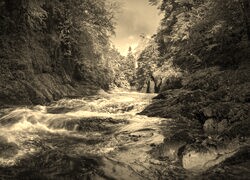 Sepia