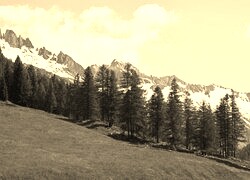 Szary + Sepia