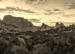 Szary + Sepia