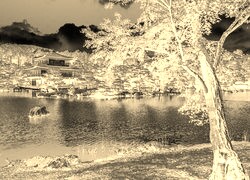 Sepia + Negatyw