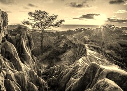Szary + Sepia