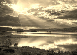 Sepia