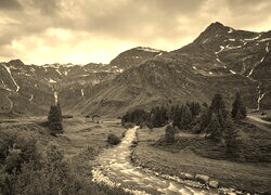 Sepia