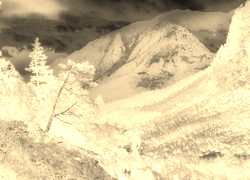 Sepia + Negatyw