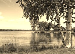 Szary + Sepia