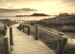 Szary + Sepia