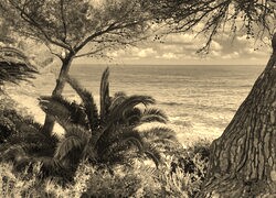 Sepia