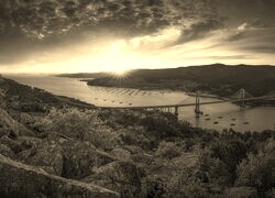 Szary + Sepia