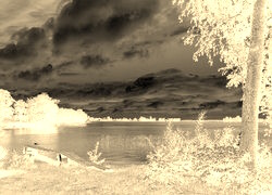 Sepia + Negatyw