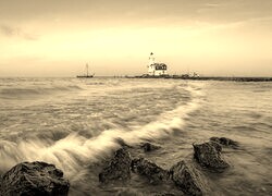 Szary + Sepia