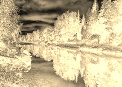 Sepia + Negatyw
