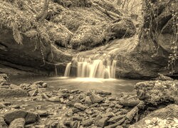 Szary + Sepia