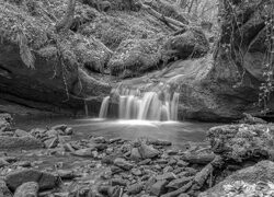 Szary
