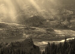 Sepia