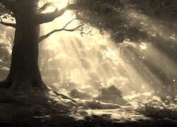 Szary + Sepia